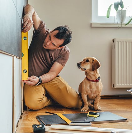 Dog staring at man remodeling kitchen.